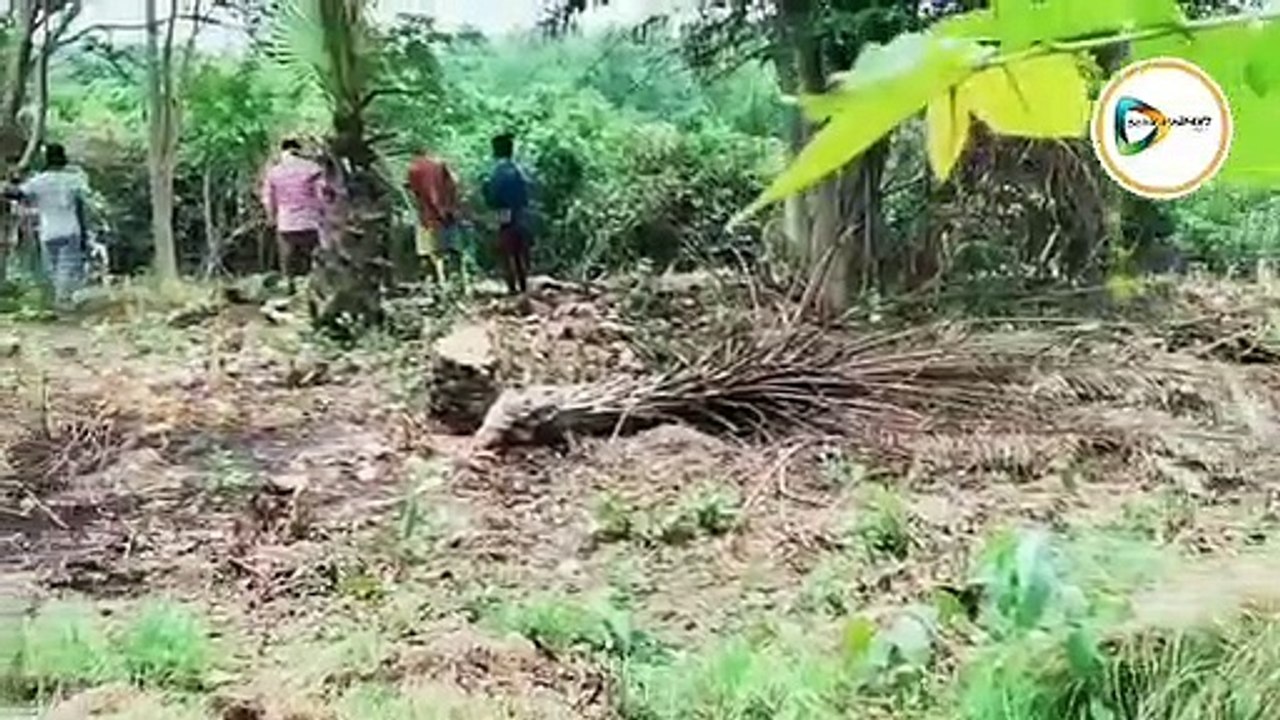 জঙ্গলমহলের বারিকুলে মাও ডেরার খোঁজ!মাটি খুঁড়তে গিয়ে মিলল প্লাস্টিকের ক্যান ভর্তি বিস্ফোরক।