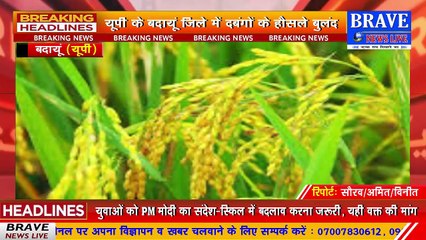 यूपी के बदायूं में दबंगों के हौसले बुलंद, मामूली कहासुनी में पिता पुत्री को बेल्टों से बेरहमी पीटा | BRAVE NEWS LIVE