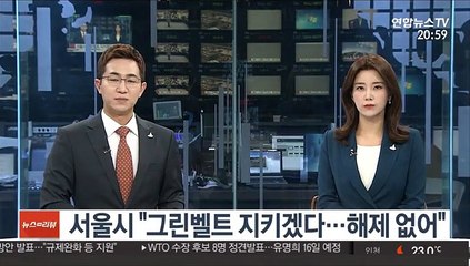 서울시 "그린벨트 지키겠다…해제 없어"
