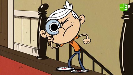 لاود يبحث عن العنكبوت  