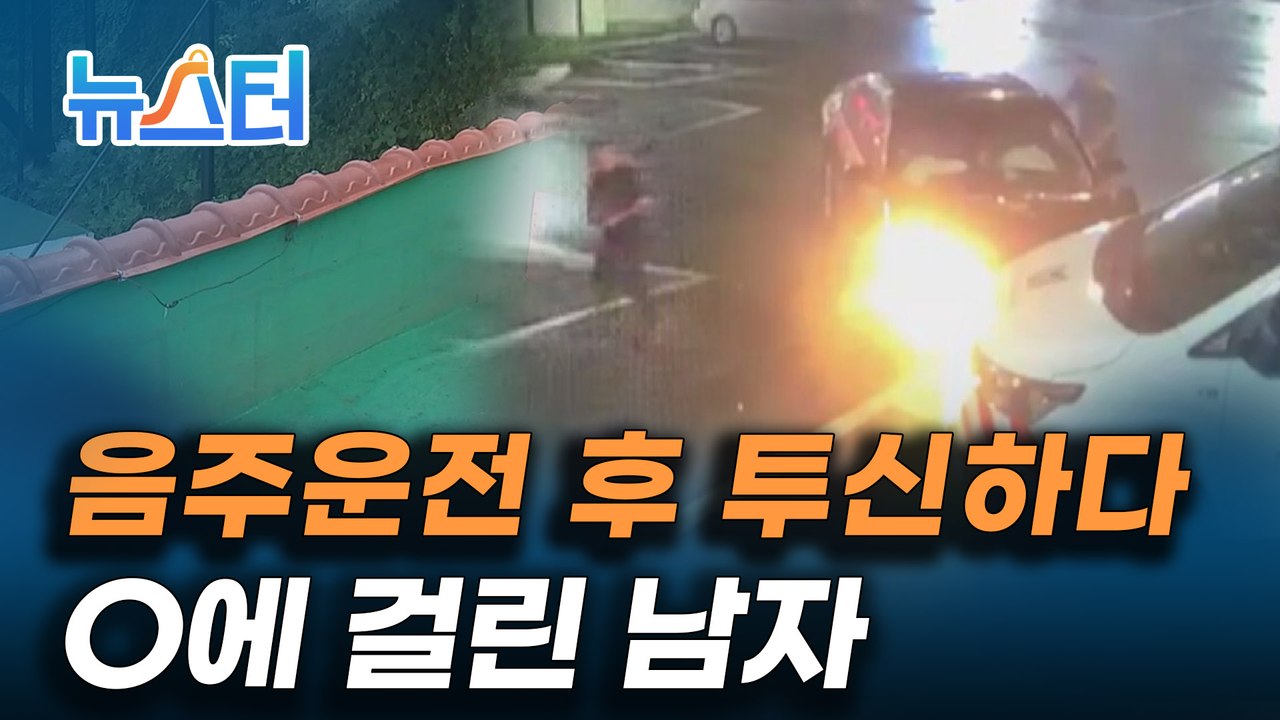 무면허에 음주운전 뺑소니까지, 관리소 직원을 피해 도망간 남성이 한 행동은? [뉴스터]