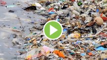 En 2050 el plástico superará a los peces