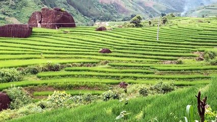 Ruộng bậc thang nổi tiếng vùng cao tây bắc.