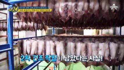 ▶속초 명물 '오징어'◀ 거친 바다에서 건져낸 동해의 참맛!