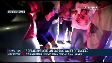 5 Pelaku Pencurian Sarang Walet Ditangkap,3 Dilumpuhkan Dengan Timah Panas