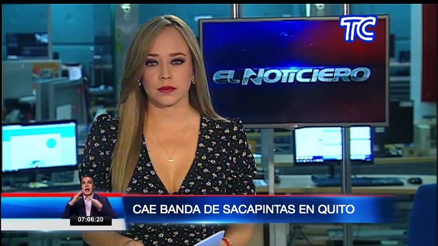 Banda de sacapintas fue desarticulada en Quito, seis personas fueron detenidas por la Policía Nacional