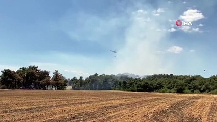 Saros Körfezinde orman yangını