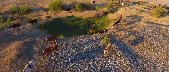 Drone Kamerama Yakalanan En İLGİNÇ 3 AN || Top 3 Most INTERESTED My Drone Camera