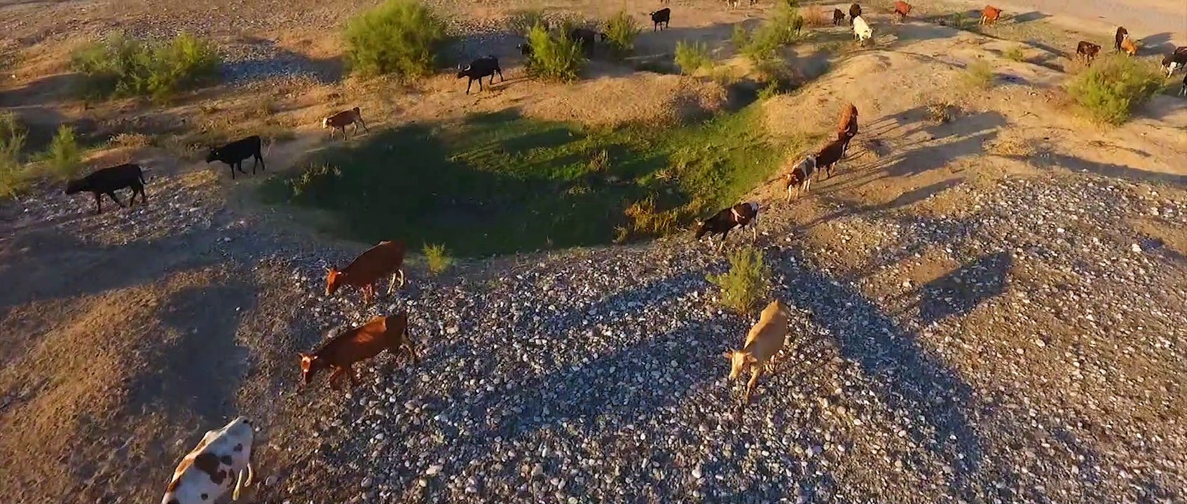 Drone Kamerama Yakalanan En İLGİNÇ 3 AN || Top 3 Most INTERESTED My Drone Camera