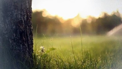 A vendre - Commerce - Martigny (1920) - 168m²