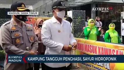 Kampung Tangguh Penghasil Sayur Hidroponik