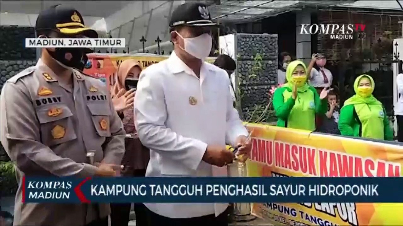Kampung Tangguh Penghasil Sayur Hidroponik