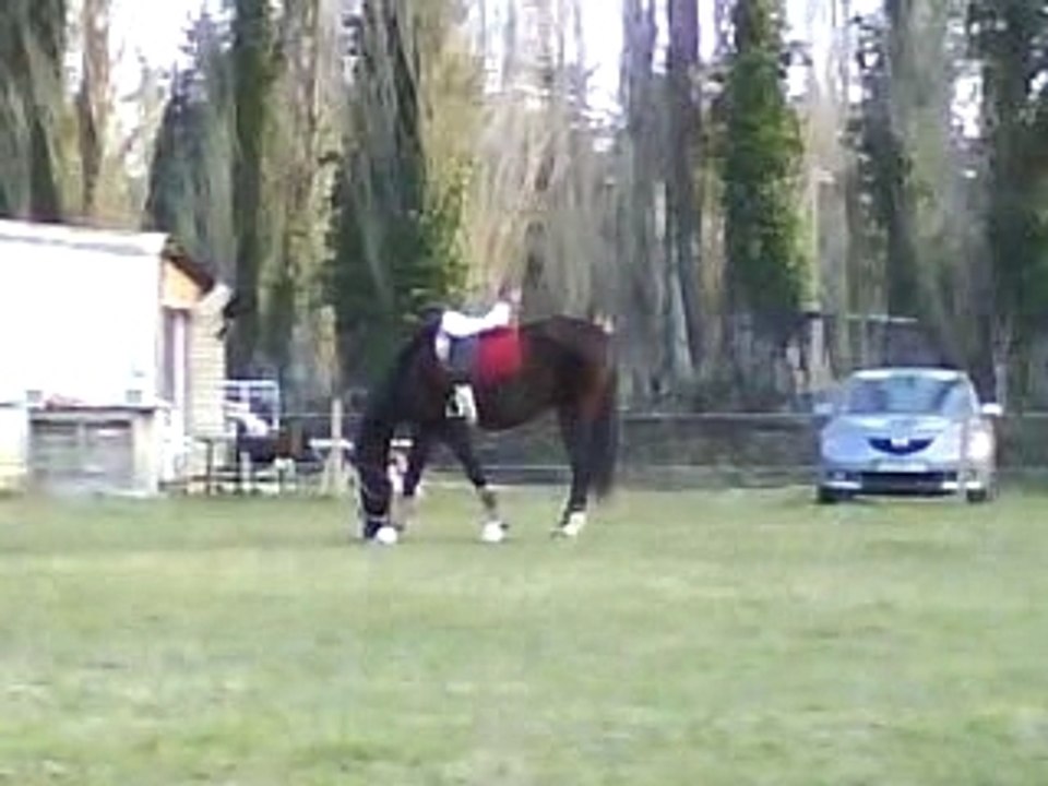 MASTER QUI BOUFFE TRANQUILOU