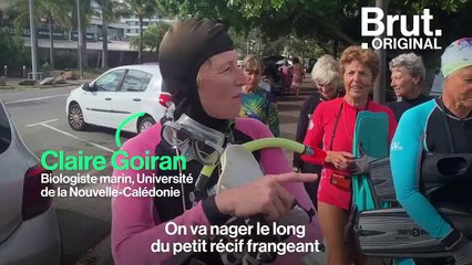 En Nouvelle-Calédonie, les "Fantastiques Grands-Mères" explorent les fonds marins