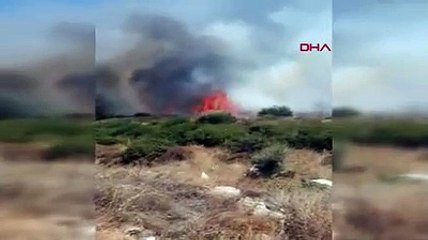 Foça'da 2 hektar makilik alan küle döndü
