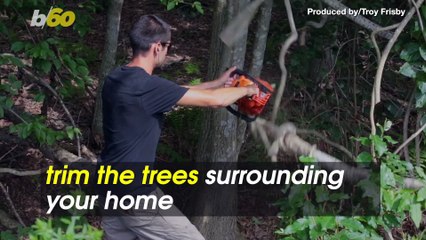 New House, New Responsibilities! Tips for New Homeowners