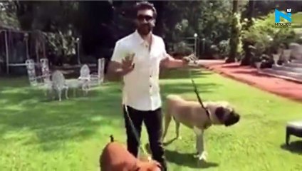 Dog bites Ranbir Kapoor on face