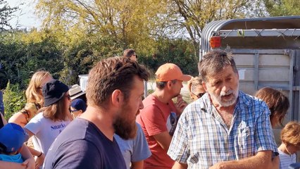 Saint-Gilles : lâcher de canards dans les rizières de Bernard Soujol et Mathieu Lacan