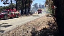 Saros’da ormanlık alandaki yangın kontrol altına alındı