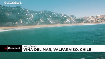 Hatalmas delfinraj bukkant fel Chile partjainál