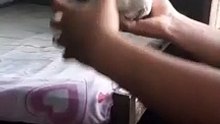 Apenas uma galinha com centro gravitacional perfeitamente calibrado...