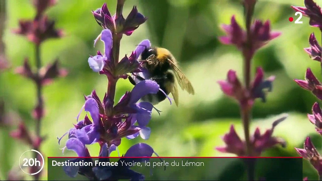 Destination France : Yvoire, la perle du Léman