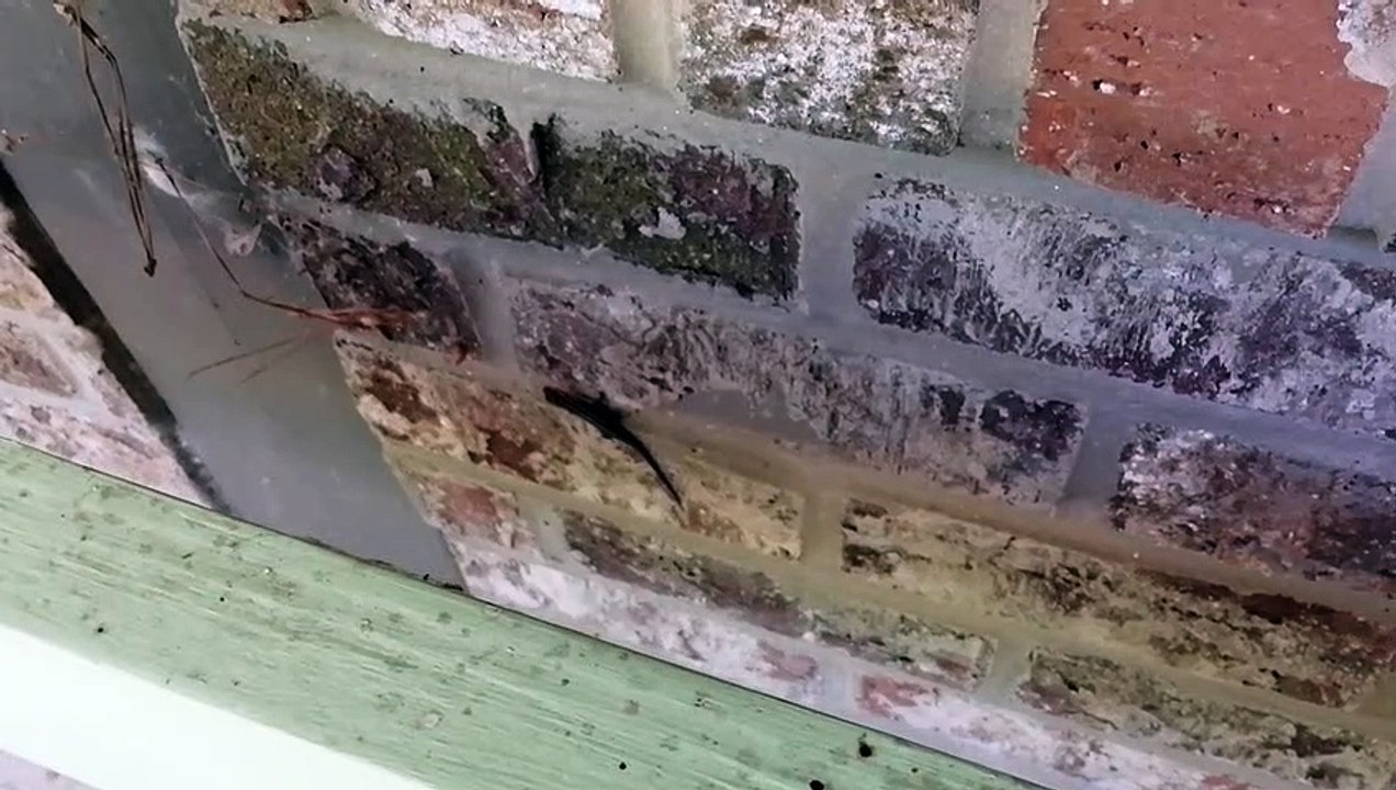 VID_20200715_095210