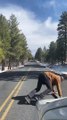 Man Handstands on Longboard down Grand Canyon Roadway