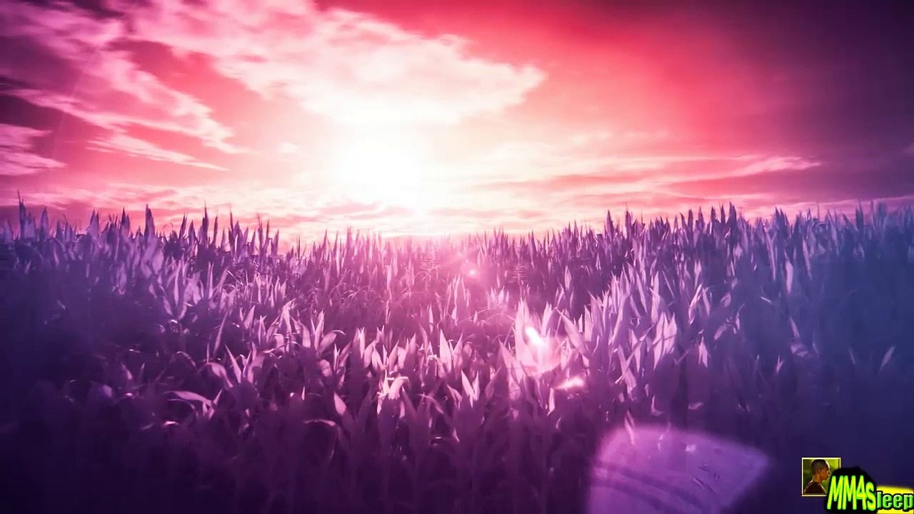  30 min. Raise Your Vibration, Manifest Miracles  Positive Energy, Elevate Your Frequency | N°191