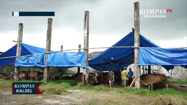 Penjualan Hewan Kurban Masih Sepi, Menurun hampir 50 persen