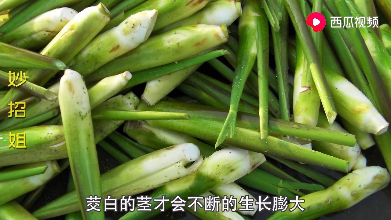 【Black dots on vegetables】茭白上的 小黑点 是什么？到底能不能吃？今天终于弄明白了
