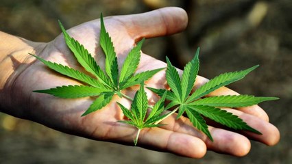 7 Things You Thought Were Illegal, But Aren't