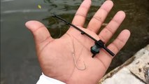 World's Smallest Fishing Rod Catches fish in OCEAN!