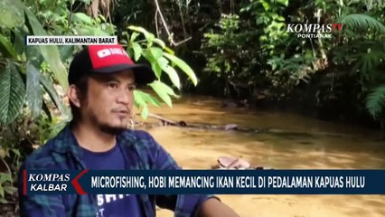 Mengenal Microfishing, Aktivitas Memancing Ikan Hias Kecil
