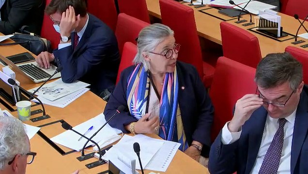 Commission des lois : Défenseur des droits ; Etat des lieux, déontologie, pratiques et doctrines de maintien de l’ordre ; Proposition par le Président de la République de Mme Claire Hédon, Défenseure des droits - Mercredi 15 juillet 2020