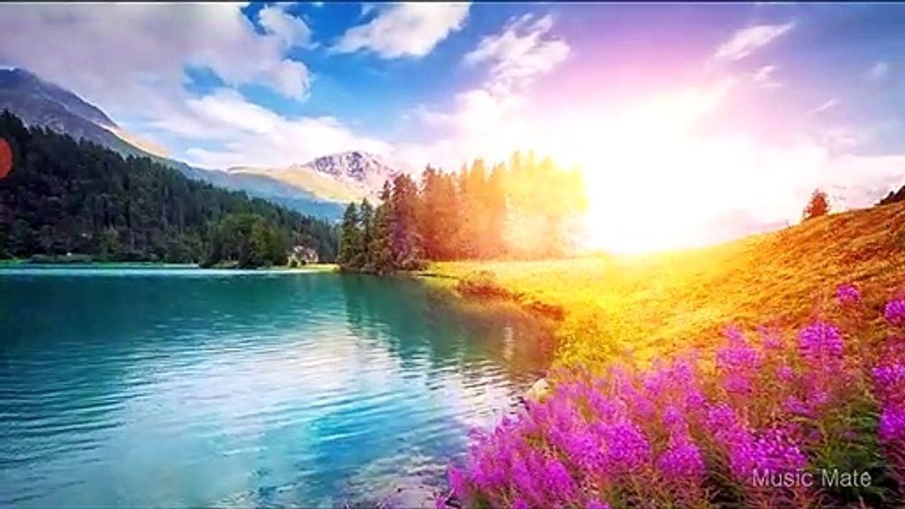 Meditation music: Relaxation and stress reliever music , healing sounds