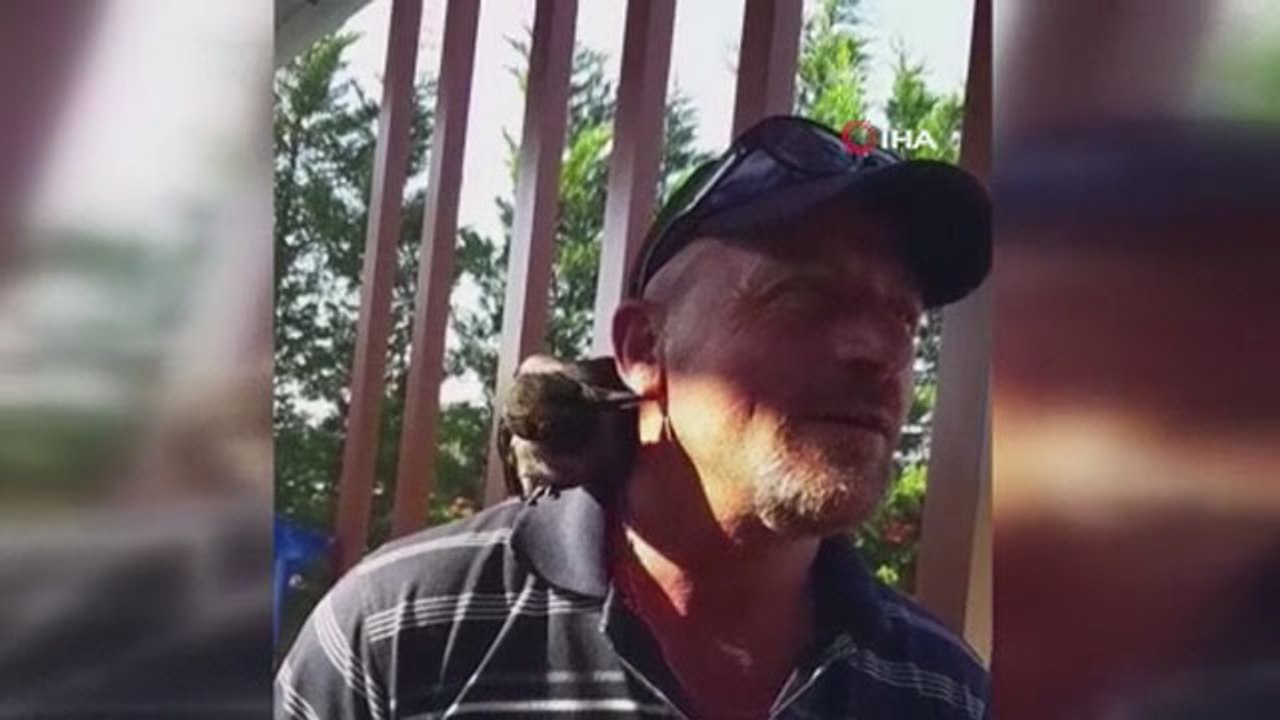 Karga ile vatandaşın dostluğu görenleri şaşkına çevirdi