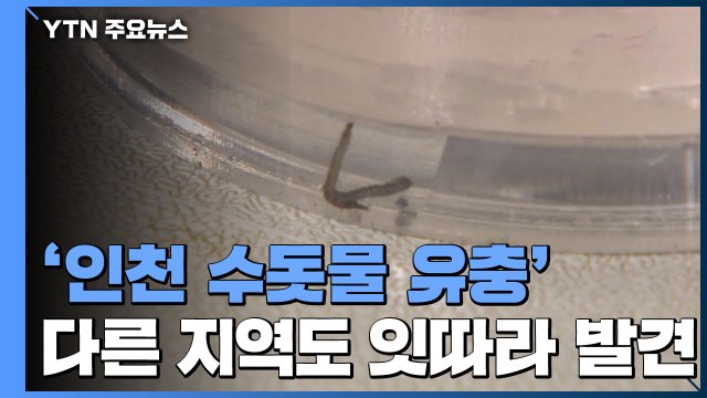 '인천 수돗물 유충' 다른 지역도 잇따라 발견...신고 100건 넘어 / YTN