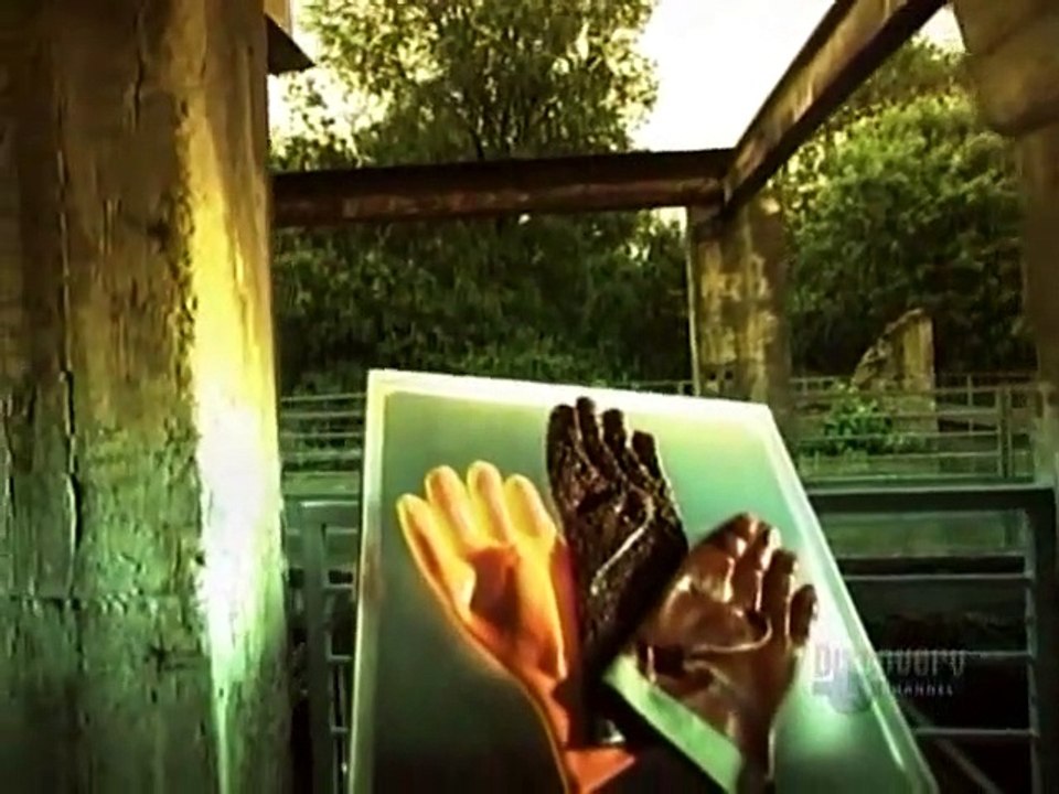 How Its Made - 142 PVC Gloves