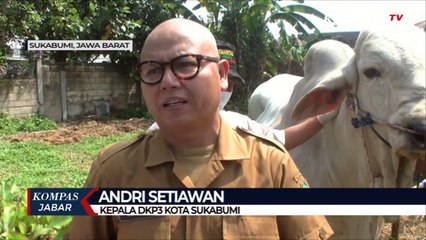 Sapi Kurban Dijual 64 Ribu Per Kilogram, Mau?