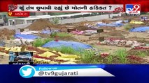Tv9 Exclusive Report- Is Gujarat govt under-reporting COVID-19 deaths in Vadodara