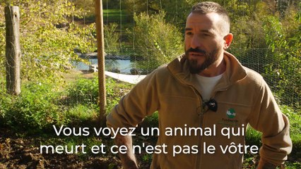 Fundación Santuario Gaia : un centre de secours pour les animaux de la ferme