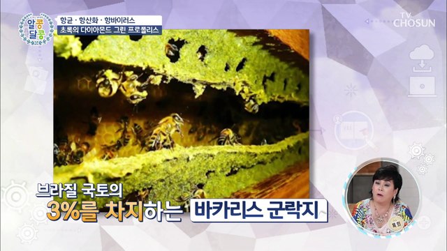 「□□ □□□□□」 만성 염증 타파에 도움!