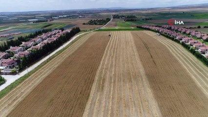 Dolu yağışları buğday ve arpa verimini yarı yarıya düşürdü