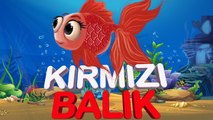 Kırmızı Balık Kaç Kaç! | Çocuk Şarkıları