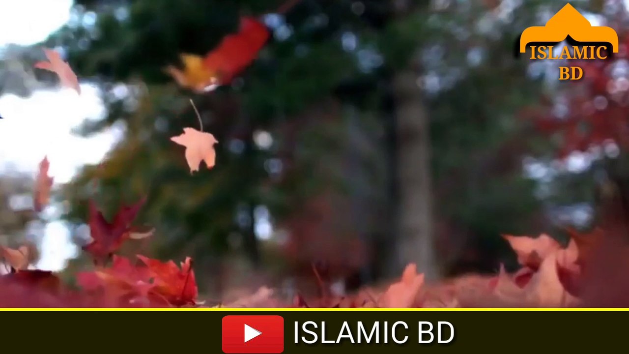 ISLAMIC bd Beautiful