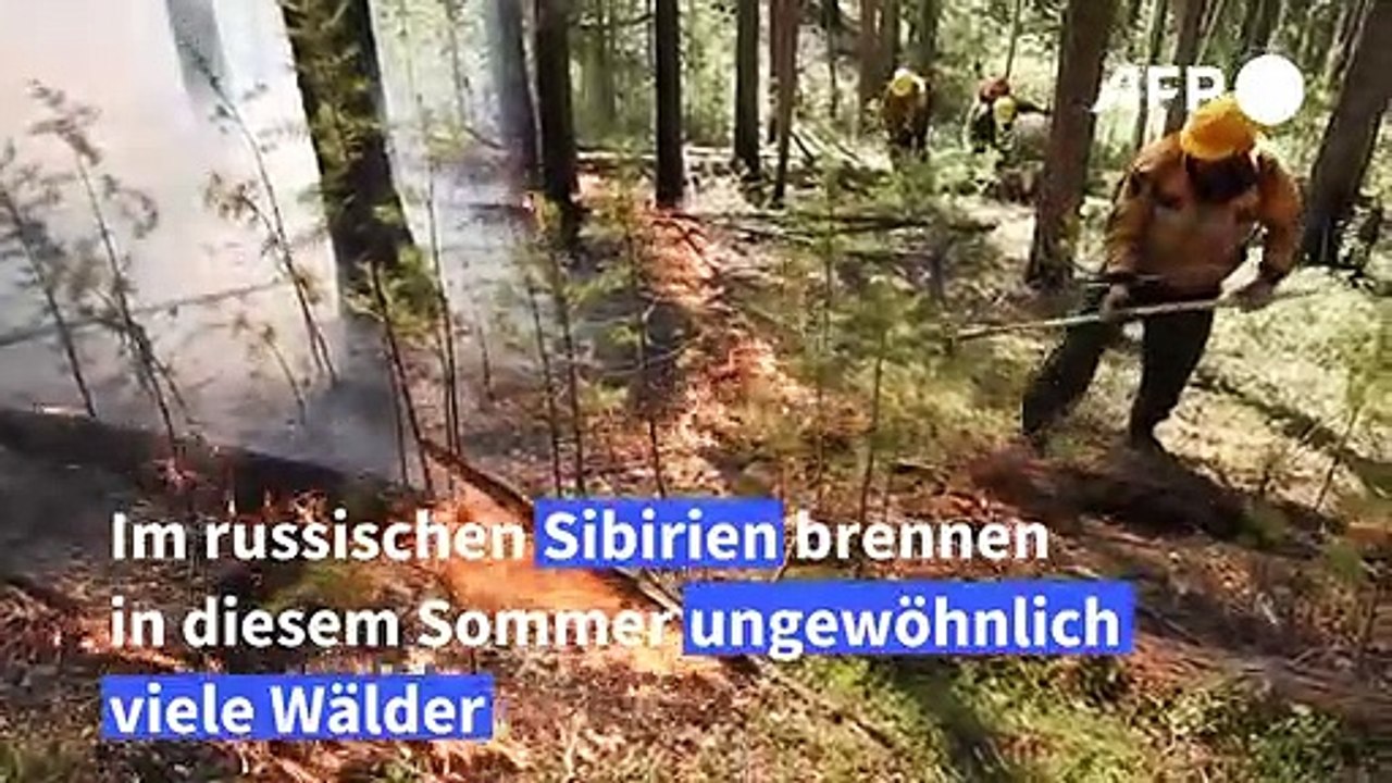 Forscher machen Klimawandel verantwortlich für Hitze in Sibirien