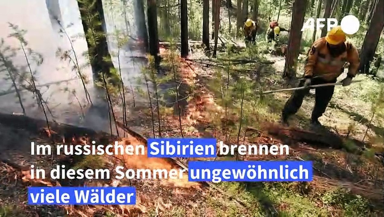 Forscher machen Klimawandel verantwortlich für Hitze in Sibirien