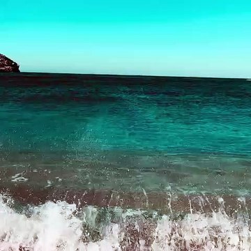Παντζόπουλος:Θα ζηλέψετε το νέο βίντεο από τα Άλχα - Το σχόλιο της Μενεγάκη