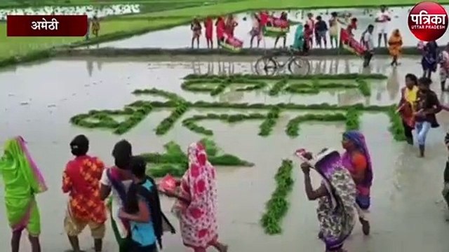 अनोखा प्रदर्शन : खेत में धान की रोपाई कर लिखा काम बोलता है